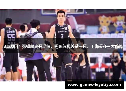 3点原因！张镇麟离开辽篮，杨鸣忽视关键一环，上海凑齐三大前锋